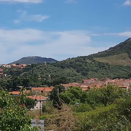 3AMB31 - Studio pour 3 personnes avec magnifique vue sur la baie Collioure Extérieur photo